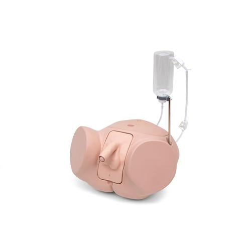 Catheterization simulator PRO, Male