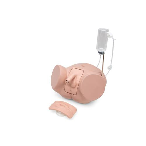 Catheterization Simulator Set PRO