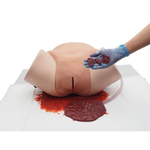 Image 2 - POSTPARTUM HEMORRHAGE SIMULATOR – PPH TRAINER P97 PRO