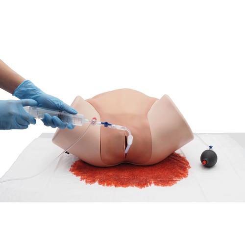 Image 5 - POSTPARTUM HEMORRHAGE SIMULATOR – PPH TRAINER P97 PRO