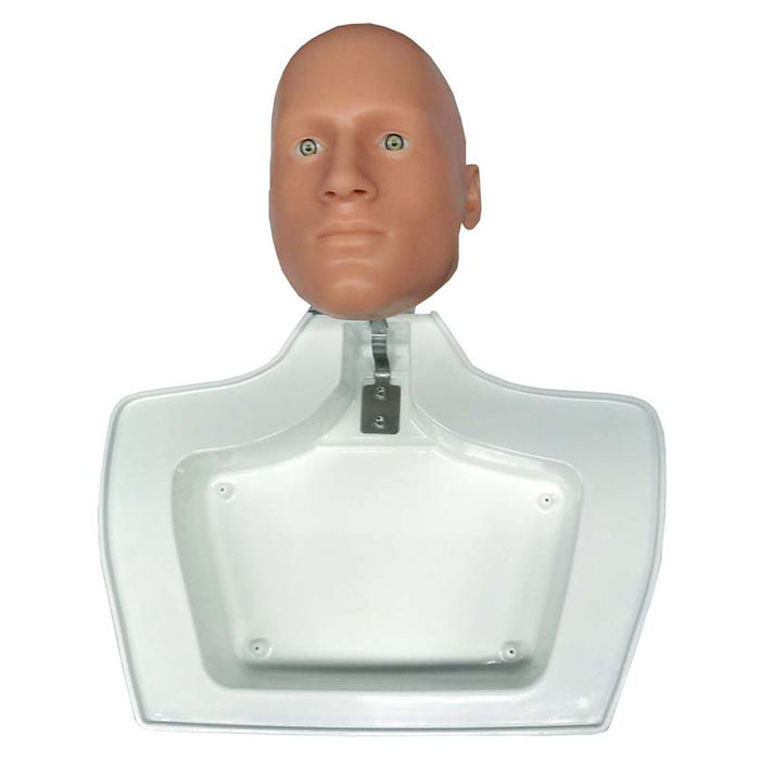 Articulating Head