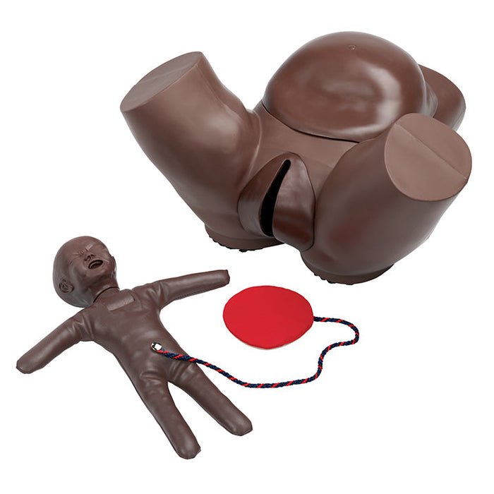 Obstetric Phantom With Fetal Doll, Dark