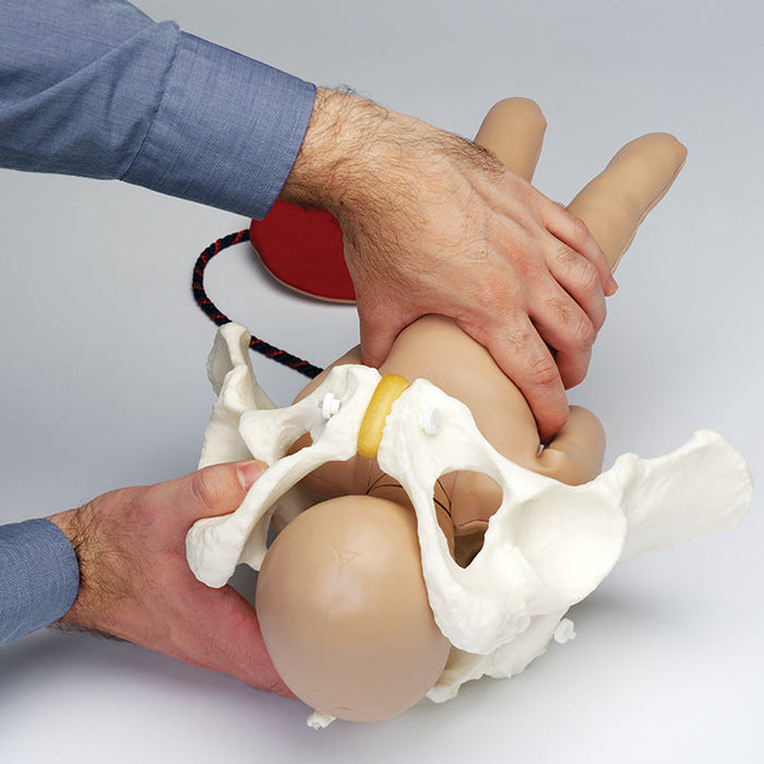 Image 2 - FETAL DOLL, BLACK