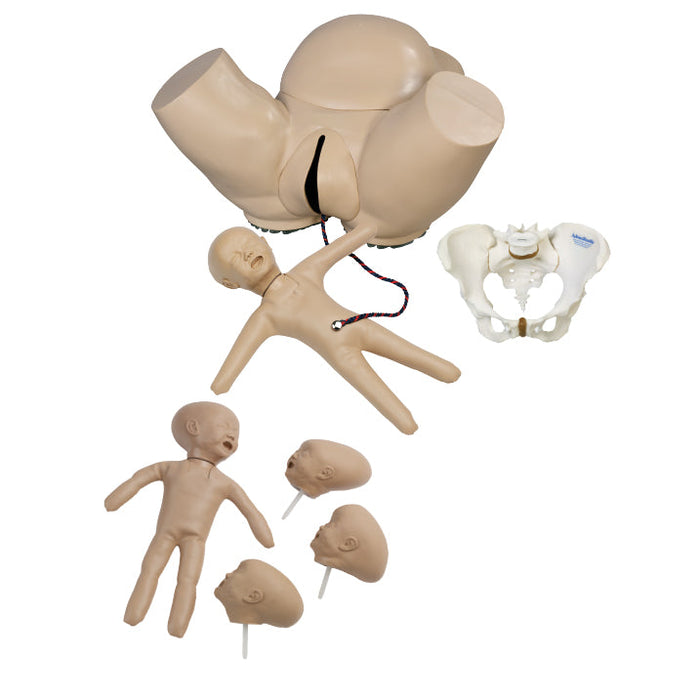 Obstetric Phantom Set, Light