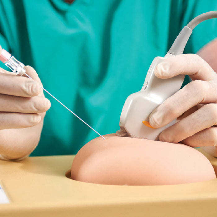 Image 4 - AMNIO ABBY® - ULTRASOUND GUIDED INVASIVE PROCEDURES SIMULATOR