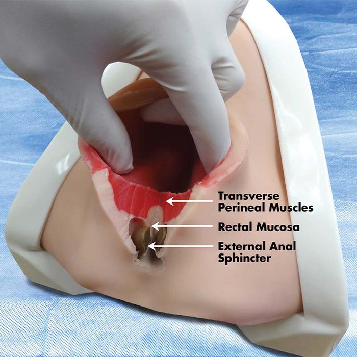 Image 3 - BOSS OB/GYN STARTER PACKAGE