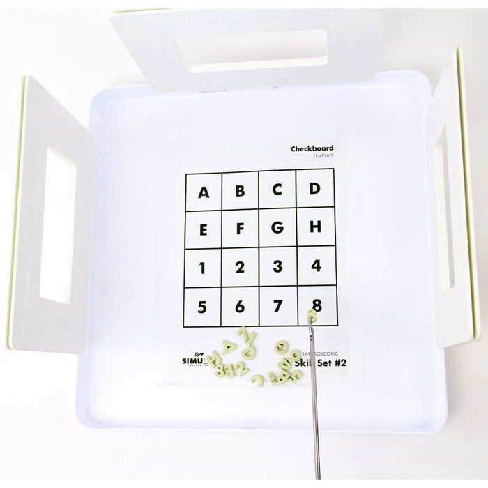 Image 2 - CHECKERBOARD TASK