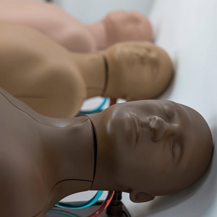 Image 4 - CENTRALINEMAN PRO SYSTEM