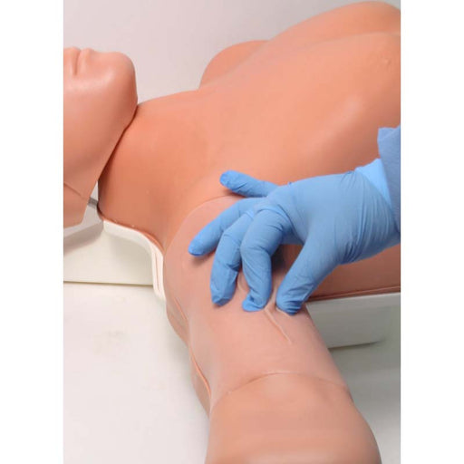 Image 2 - DELUXE PICCLINEMAN SYSTEM TRAINING PACKAGE
