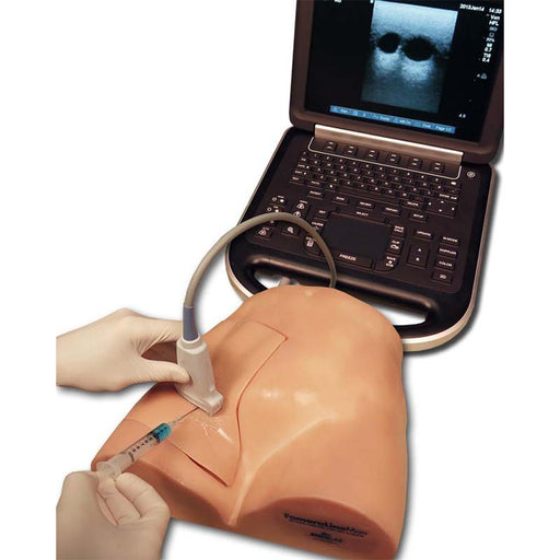 Image 2 - FEMORALINEMAN SYSTEM