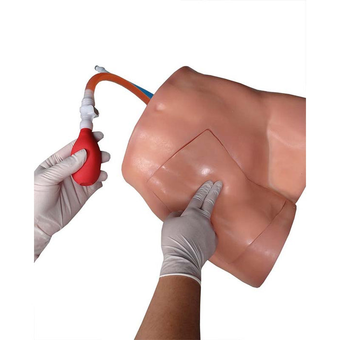 Image 3 - FEMORALINEMAN SYSTEM