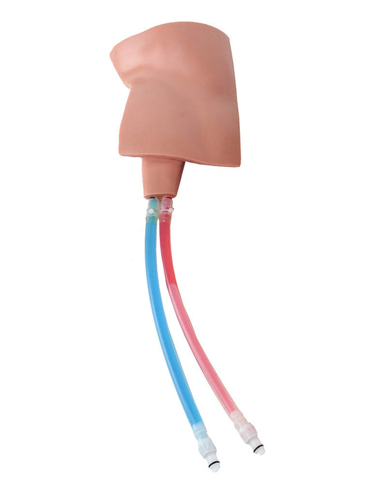 FemoraLineMan Replaceable Tissue