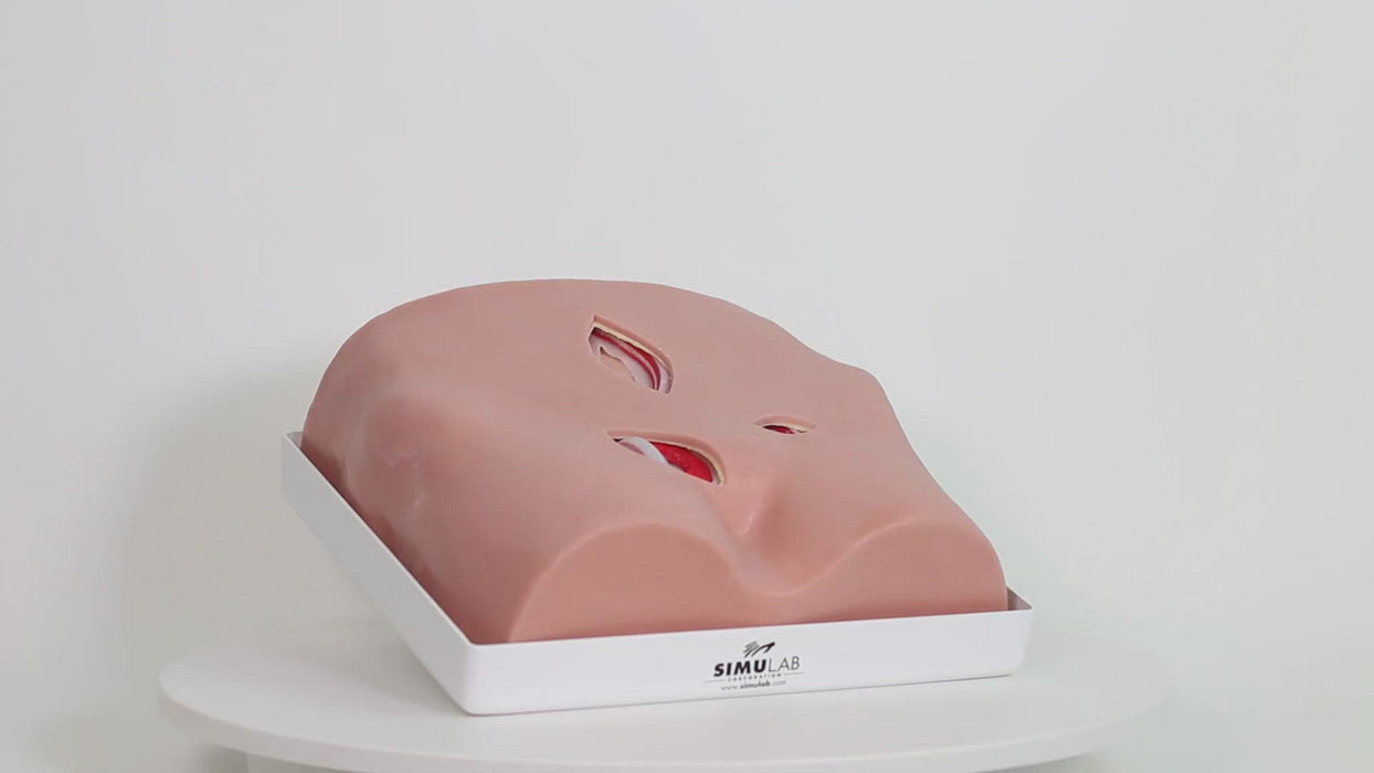 Image 4 - HERNIA MODEL