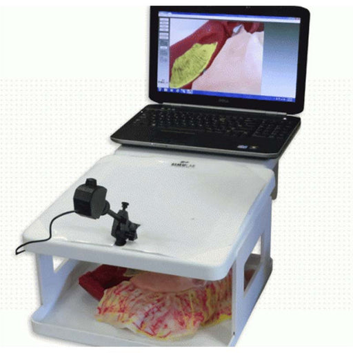 Image 2 - COMMON BILE DUCT EXPLORATION MODEL