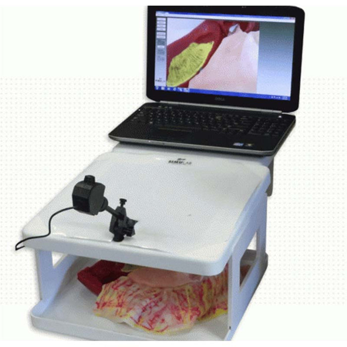 Image 2 - COMMON BILE DUCT EXPLORATION MODEL