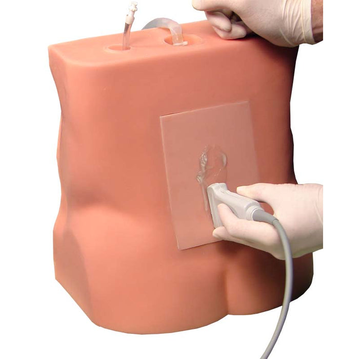 Lumbar Epidural Trainer