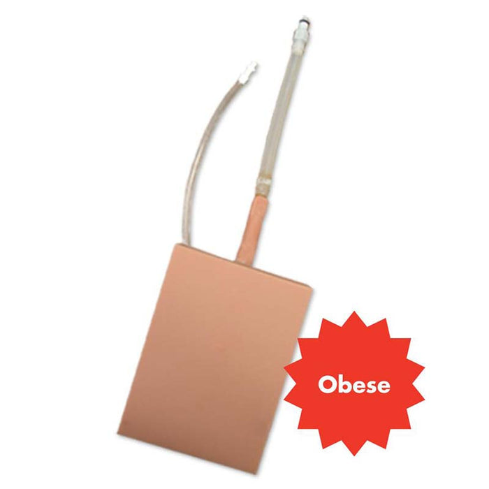 Obese Adult Lumbar Epidural Tissue