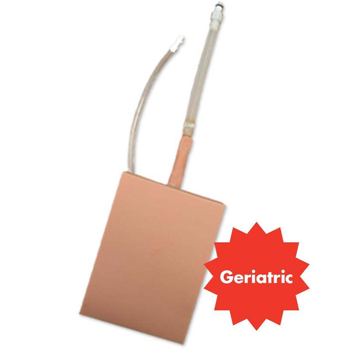 Geriatric Lumbar Puncture Tissue