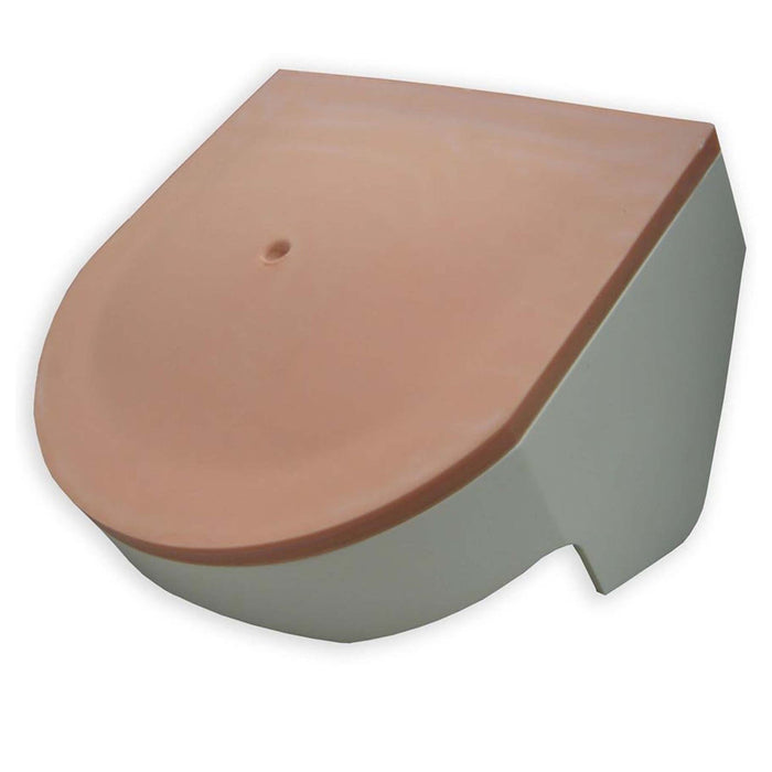 Ultrasound Paracentesis Trainer