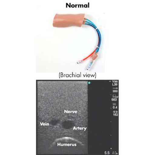 Image 2 - PICCLINEMAN REPLACEABLE TISSUE