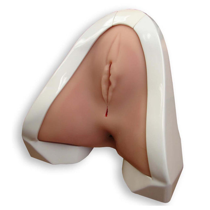 Perineal Repair Trainer