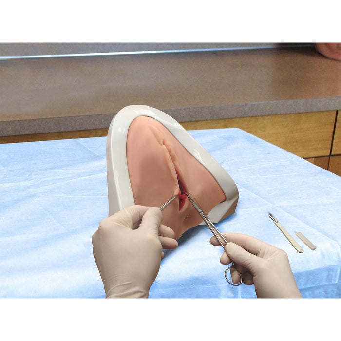 Image 2 - PERINEAL REPAIR TRAINING PACKAGE