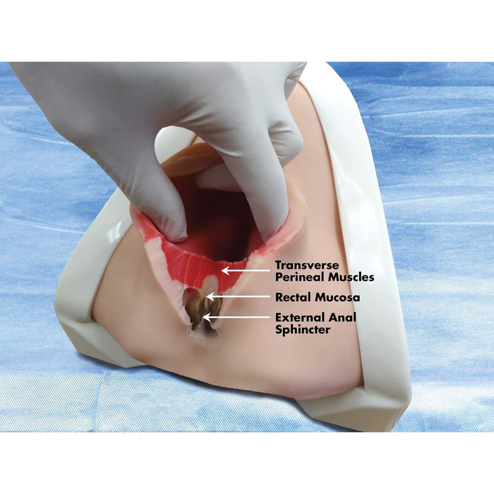 Image 3 - PERINEAL REPAIR TRAINING PACKAGE