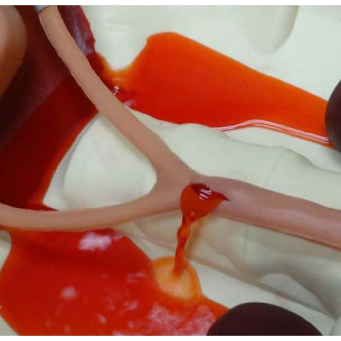 Image 3 - UNIVERSAL SURGICAL ABDOMEN TEAM TRAINING SYSTEM