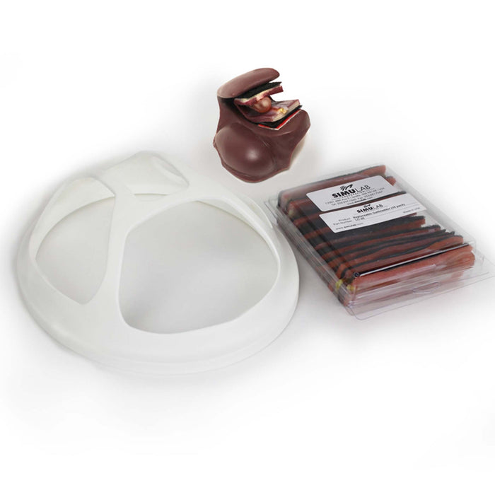 Laparoscopic Cholecystectomy Model for Surgical Abdomen