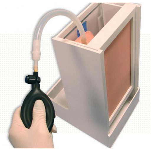 Image 2 - ULTRASOUND THORACENTESIS MODEL