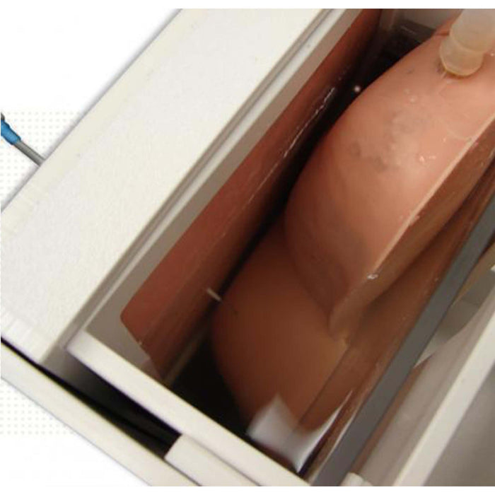 Image 4 - ULTRASOUND THORACENTESIS MODEL