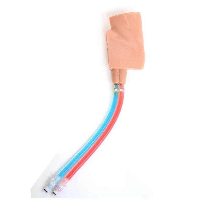 VascularAccessChild Femoral Replacement Tissue