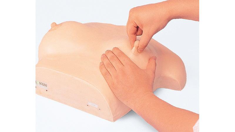 Image 2 - BREAST MASSAGE MODEL TYPE â…¡