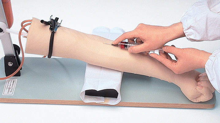 Image 2 - INJECTION AND BLOOD SAMPLING PRACTICE MODEL TYPE â…