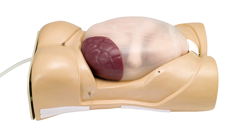 Image 3 - MATERNITY MODEL TYPE â…¡