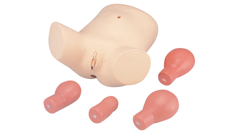 Puerperal Uterus Palpation Training Model
