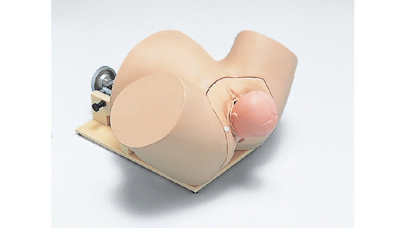Image 4 - FETAL HEAD EXTRACTOR FOR OBSTETRIC MODEL