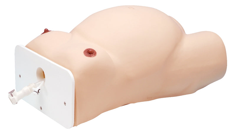 ECV (External Cephalic Version) Model