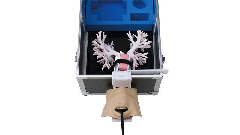 Ultrasonic Bronchoscopy Simulator