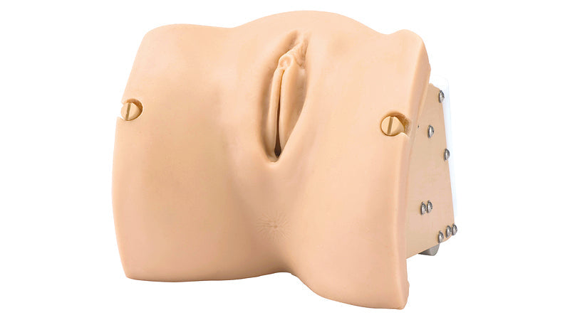 Vaginal Examination Model-Vulva Ⅱ