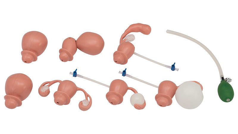 Image 2 - GYNECOLOGICAL EXAMINATION SIMULATOR
