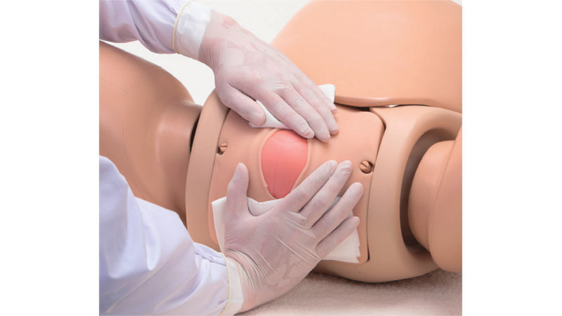 Image 2 - OBSTETRIC ASSISTANT MODEL SET TYPE â…¡, HIROKO