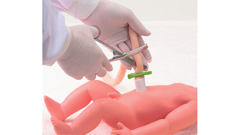 Image 4 - OBSTETRIC ASSISTANT MODEL SET TYPE â…¡, HIROKO