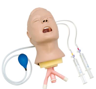 Adult Airway Manikin