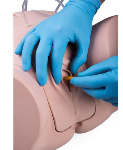Catheterization Simulator Set PRO