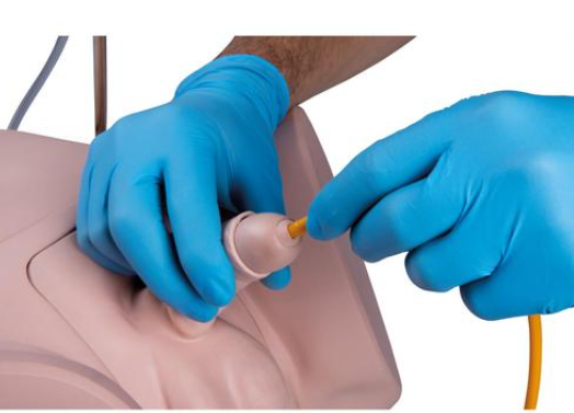 Catheterization Simulator Set PRO