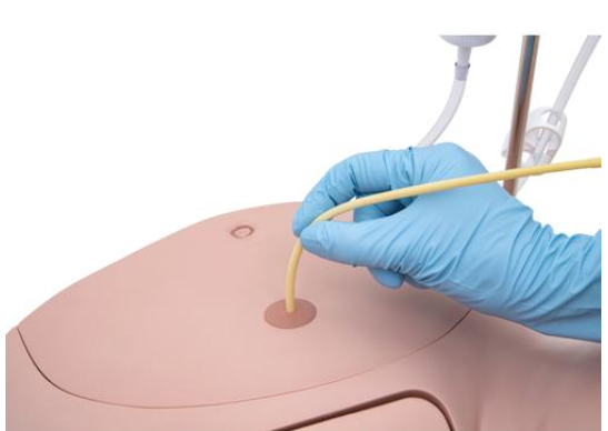 Catheterization Simulator Set PRO