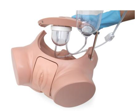 Catheterization Simulator Set PRO