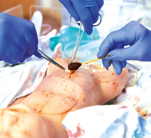 Complete Lucy - Emotionally Engaging Birthing Simulation