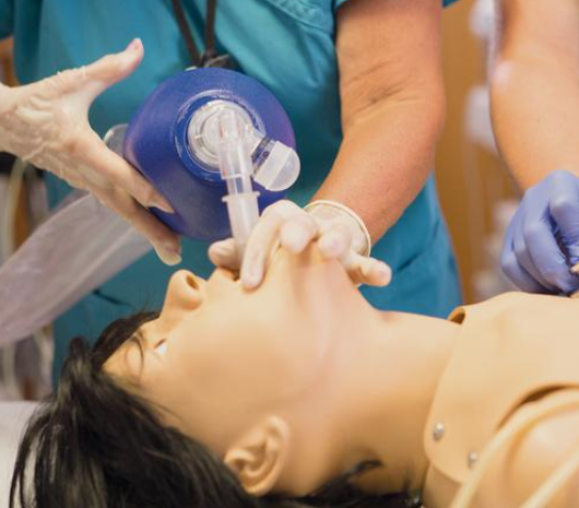 Complete Lucy - Emotionally Engaging Birthing Simulation